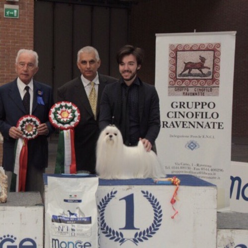 Expo canina Ravenna