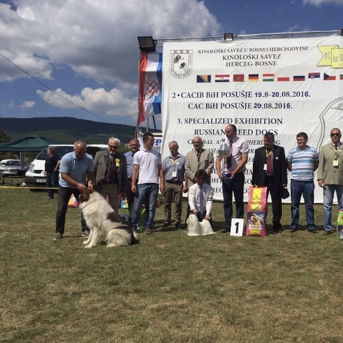 Expo Canina in Bosnia